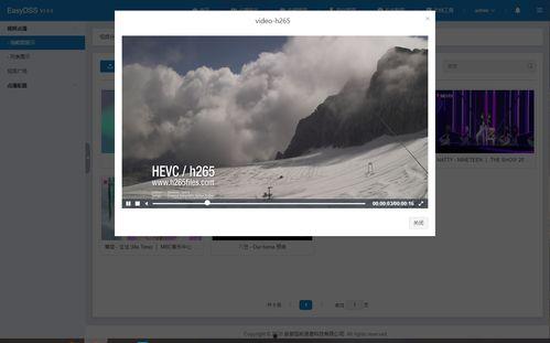 和视频是什么,从“和视频”看新媒体时代下的内容创作与传播