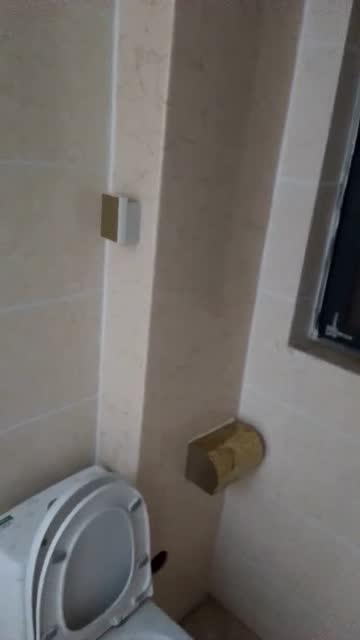 厕所的视频,现代卫生设施背后的科技与人性