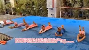 儿童蛙泳比赛视频,儿童蛙泳比赛精彩瞬间回顾