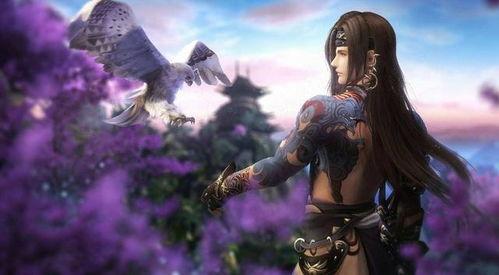 剑网3视频,江湖风云再起，视频带你领略武侠世界