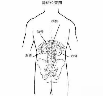 腰肾保养手法视频教程,跟随视频教程轻松掌握养生之道
