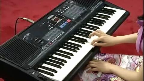 电子琴初学视频教程