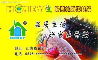 好当家视频,揭秘家族企业传承与发展的传奇故事